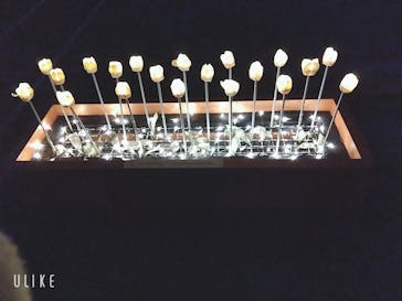 東京メガイルミに投稿された画像（2026/1/4）