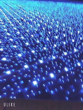 東京メガイルミに投稿された画像（2026/1/4）