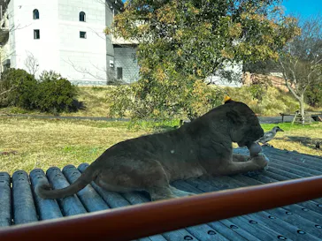 多摩動物公園に投稿された画像（2026/1/4）