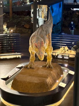 福井県立恐竜博物館に投稿された画像（2026/1/4）