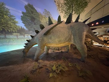 福井県立恐竜博物館に投稿された画像（2026/1/4）