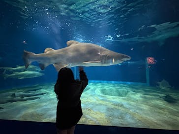アクアワールド茨城県大洗水族館に投稿された画像（2026/1/4）