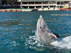 下田海中水族館に投稿された画像（2026/1/4）