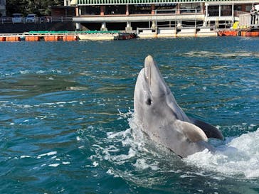 下田海中水族館に投稿された画像（2026/1/4）
