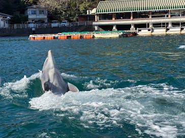 下田海中水族館に投稿された画像（2026/1/4）