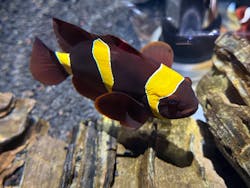 AQUARIUM × ART　atoaに投稿された画像（2026/1/4）