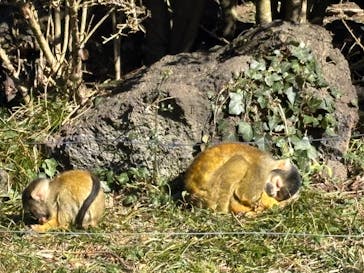 伊豆シャボテン動物公園に投稿された画像（2026/1/4）