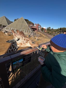 伊豆シャボテン動物公園に投稿された画像（2026/1/4）