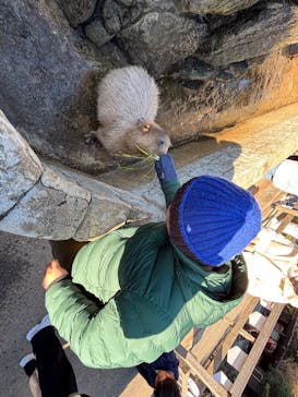 伊豆シャボテン動物公園に投稿された画像（2026/1/4）