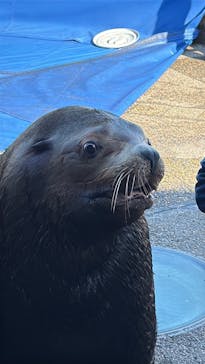 大分マリーンパレス水族館 「うみたまご」に投稿された画像（2026/1/4）