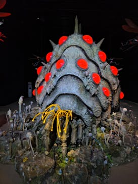 金曜ロードショーとジブリ展（静岡展）に投稿された画像（2026/1/4）