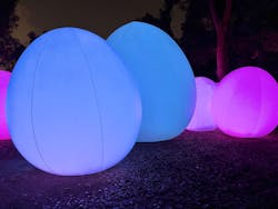 チームラボ ボタニカルガーデン 大阪に投稿された画像（2026/1/4）