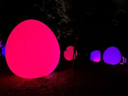 チームラボ ボタニカルガーデン 大阪に投稿された画像（2026/1/4）