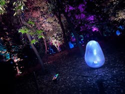 チームラボ ボタニカルガーデン 大阪に投稿された画像（2026/1/4）