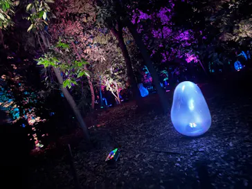 チームラボ ボタニカルガーデン 大阪に投稿された画像（2026/1/4）