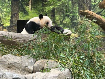 恩賜上野動物園に投稿された画像（2026/1/4）