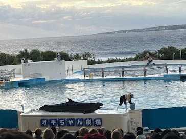 沖縄美ら海水族館に投稿された画像（2026/1/4）