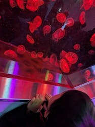 伊豆・三津シーパラダイスに投稿された画像（2026/1/4）