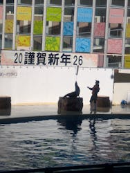 伊豆・三津シーパラダイスに投稿された画像（2026/1/4）