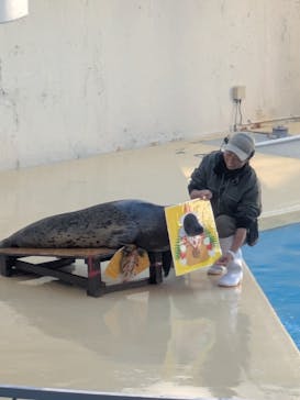 伊豆・三津シーパラダイスに投稿された画像（2026/1/4）