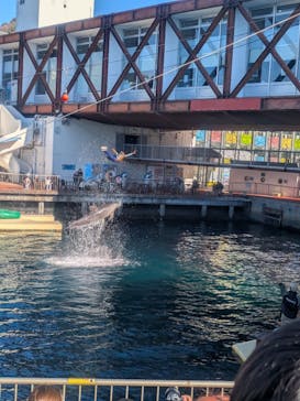 伊豆・三津シーパラダイスに投稿された画像（2026/1/4）