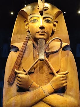 ACN ラムセス大王展 ファラオたちの黄金に投稿された画像（2026/1/4）