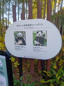 恩賜上野動物園に投稿された画像（2026/1/4）