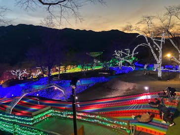 さがみ湖MORI MORIに投稿された画像（2026/1/4）