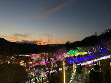 さがみ湖MORI MORIに投稿された画像（2026/1/4）