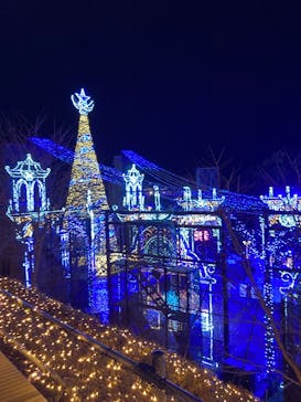 さがみ湖MORI MORIに投稿された画像（2026/1/4）