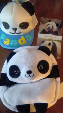 恩賜上野動物園に投稿された画像（2026/1/4）