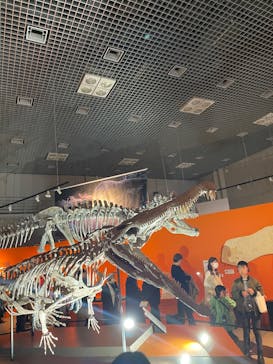 特別展「大絶滅展―生命史のビッグファイブ」に投稿された画像（2026/1/4）