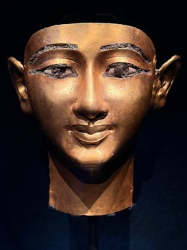 ACN ラムセス大王展 ファラオたちの黄金に投稿された画像（2026/1/4）