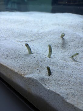 AOAO SAPPOROに投稿された画像（2026/1/4）