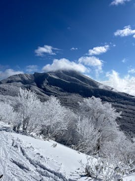 星野リゾート　ネコマ マウンテンに投稿された画像（2026/1/4）