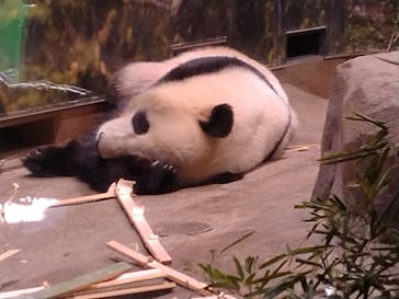 恩賜上野動物園に投稿された画像（2026/1/4）