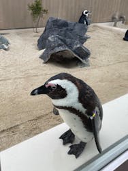 マリンワールド海の中道に投稿された画像（2026/1/4）