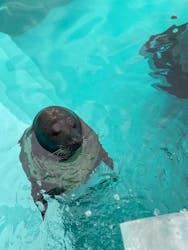 マリンワールド海の中道に投稿された画像（2026/1/4）