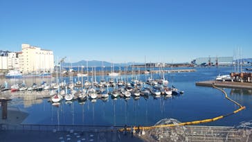 ちびまる子ちゃんランドに投稿された画像（2026/1/4）