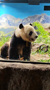 恩賜上野動物園に投稿された画像（2026/1/4）