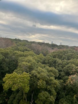 ファンタズーマに投稿された画像（2026/1/4）