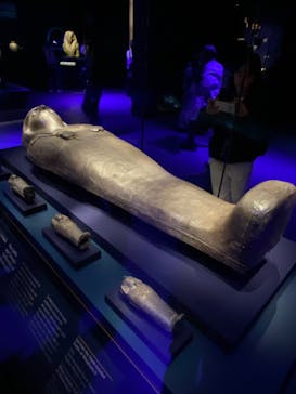 ACN ラムセス大王展 ファラオたちの黄金に投稿された画像（2026/1/4）