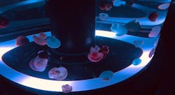 マクセル アクアパーク品川に投稿された画像（2026/1/4）