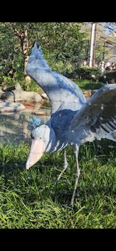 恩賜上野動物園に投稿された画像（2026/1/4）