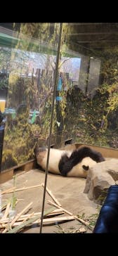 恩賜上野動物園に投稿された画像（2026/1/4）