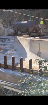 恩賜上野動物園に投稿された画像（2026/1/4）