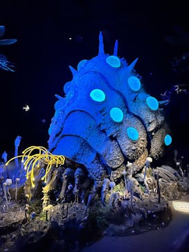 金曜ロードショーとジブリ展（静岡展）に投稿された画像（2026/1/4）