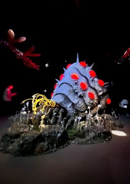 金曜ロードショーとジブリ展（静岡展）に投稿された画像（2026/1/4）