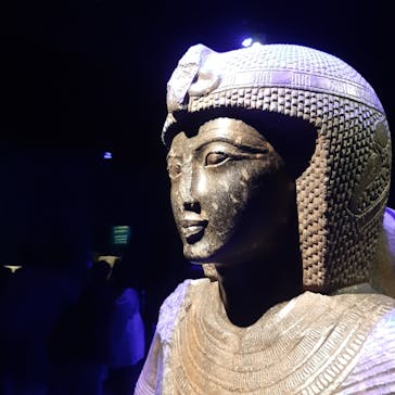 ACN ラムセス大王展 ファラオたちの黄金に投稿された画像（2026/1/4）