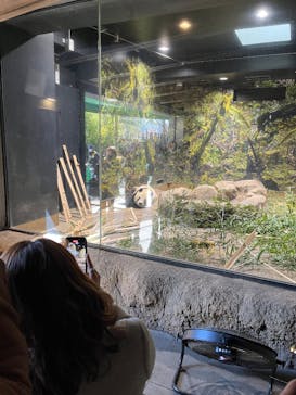 恩賜上野動物園に投稿された画像（2026/1/4）